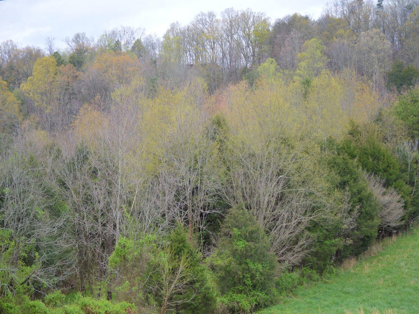 Photo #8: 3605 Kingsport Highway