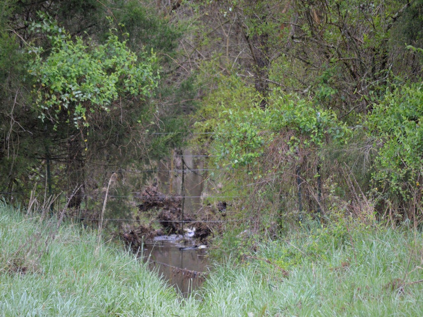 Photo #4: 3605 Kingsport Highway