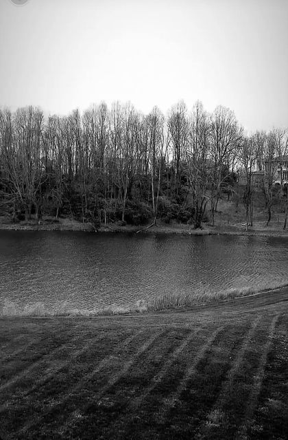 Photo #13: Lot 97 Springview Ridge