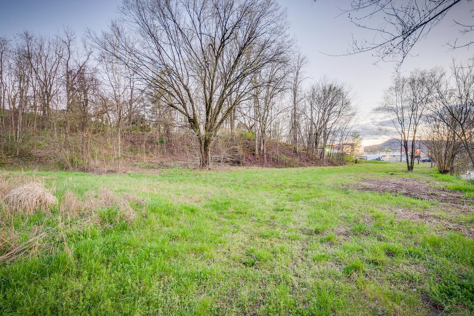 Photo #18: 1005&1009 Bloomingdale Road