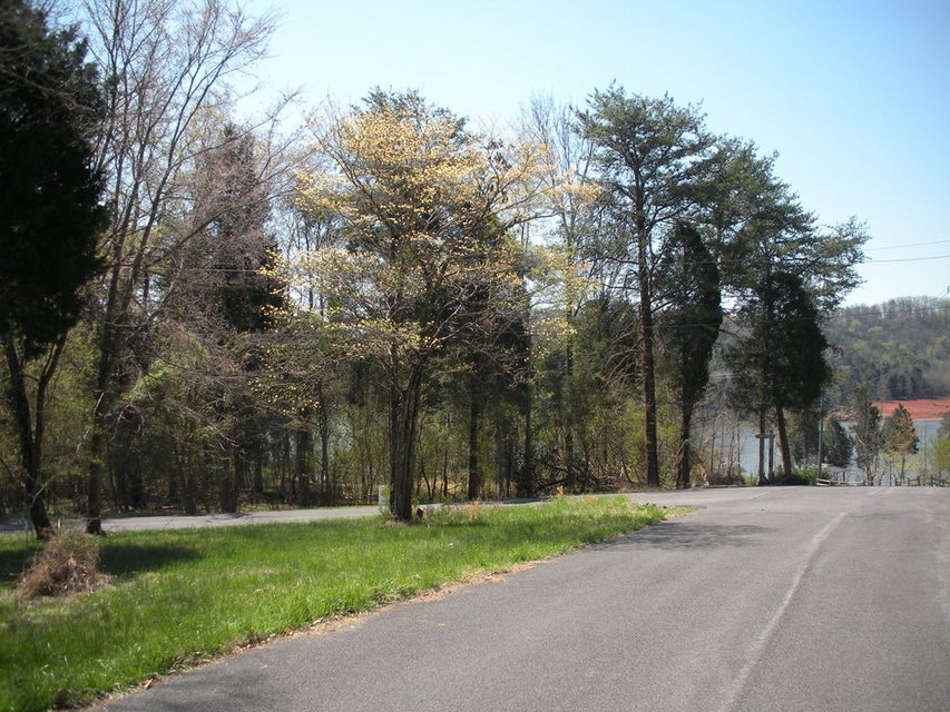 Photo #6: 445 Chelaque Way