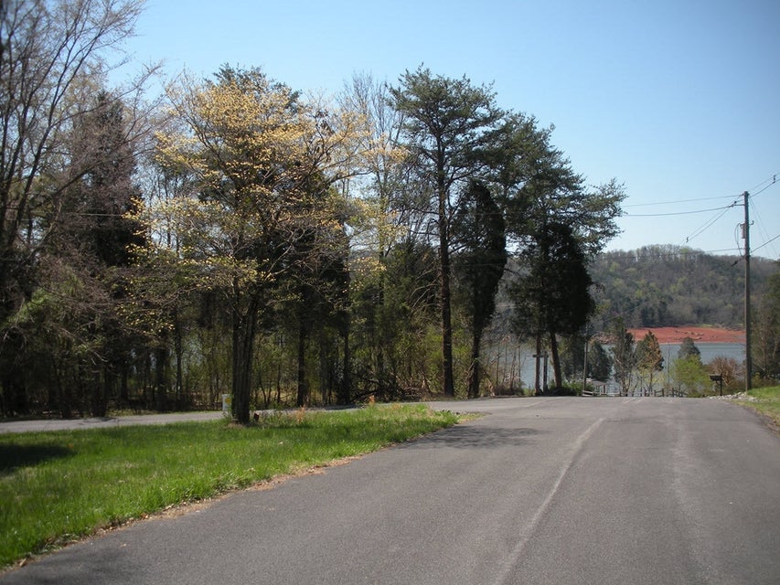 Photo #8: 445 Chelaque Way