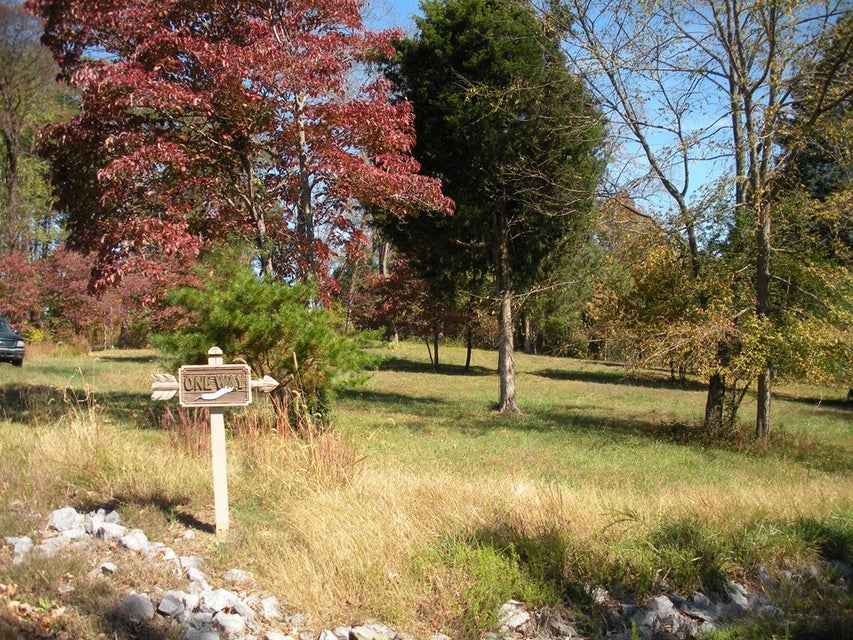 Photo #9: 445 Chelaque Way