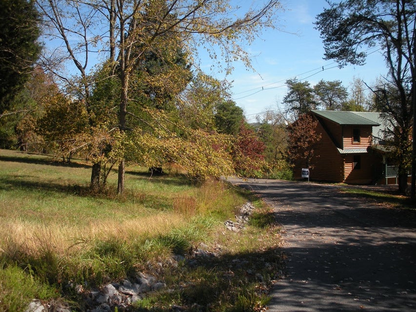 Photo #10: 445 Chelaque Way