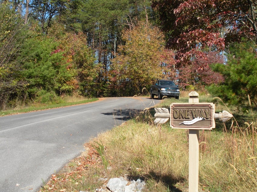 Photo #11: 445 Chelaque Way