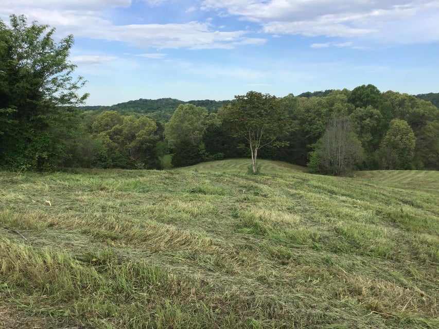 Photo #3: 3 Pates Hill Road