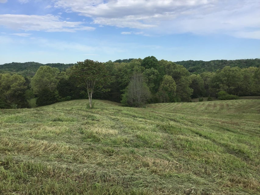 Photo #4: 3 Pates Hill Road