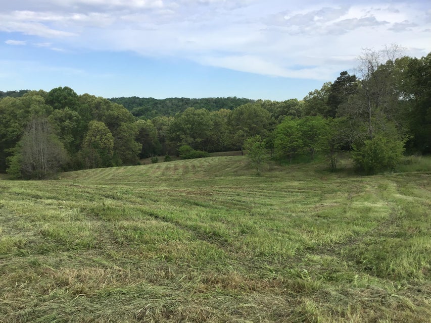 Photo #5: 3 Pates Hill Road
