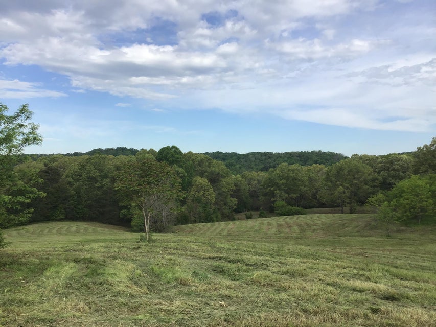 Photo #6: 3 Pates Hill Road