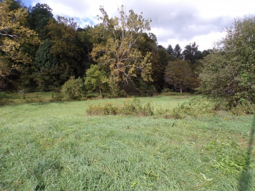 Photo #2: Tbd Divide Road 1.3 Acre