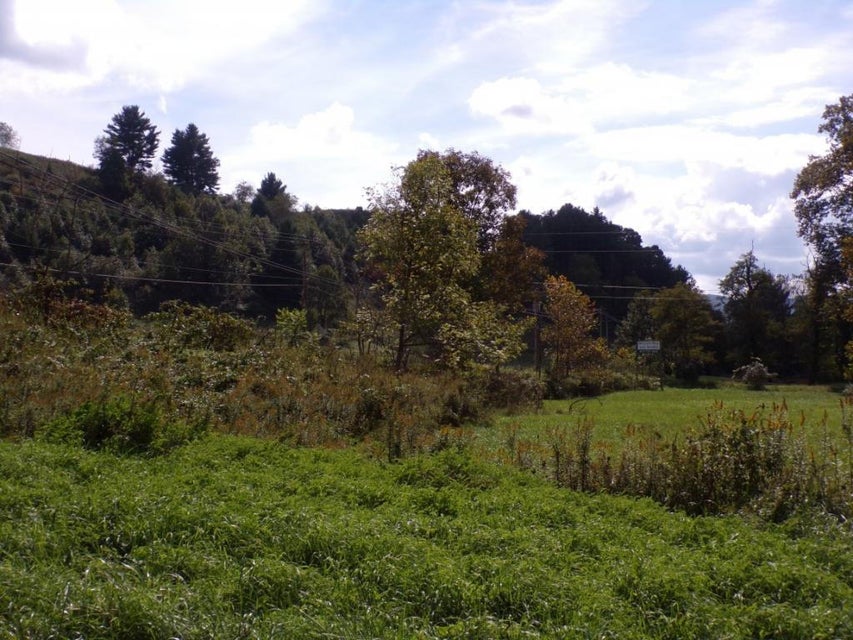 Photo #4: Tbd Divide Road 1.3 Acre