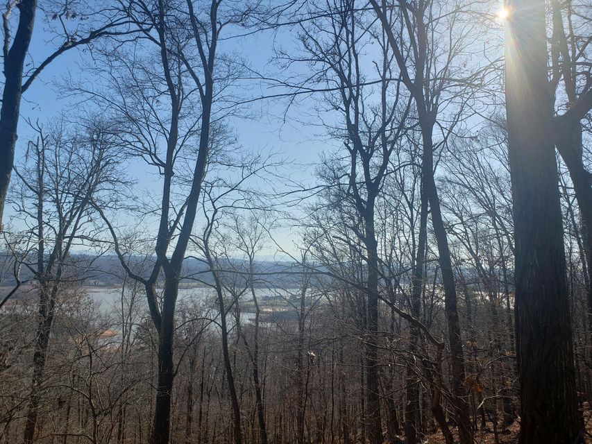 Photo #6: 1206 Keetoowah Drive