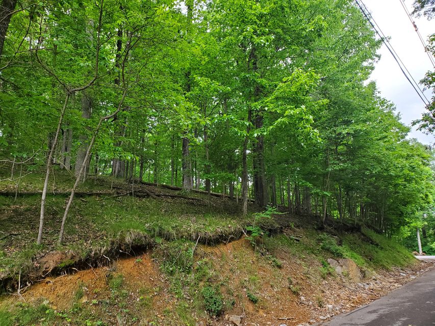 Photo #10: 1206 Keetoowah Drive