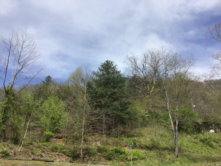 Photo #4: Tbd Slate Creek