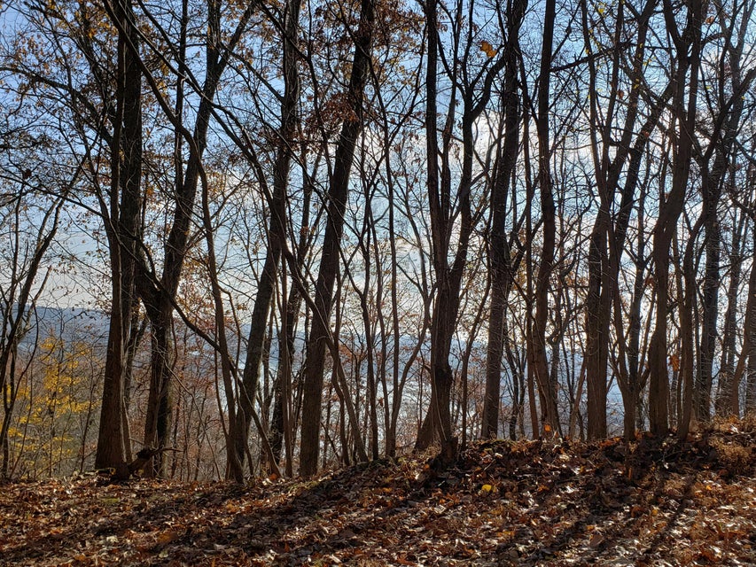 Photo #12: Lot 31 Keetoowah Drive