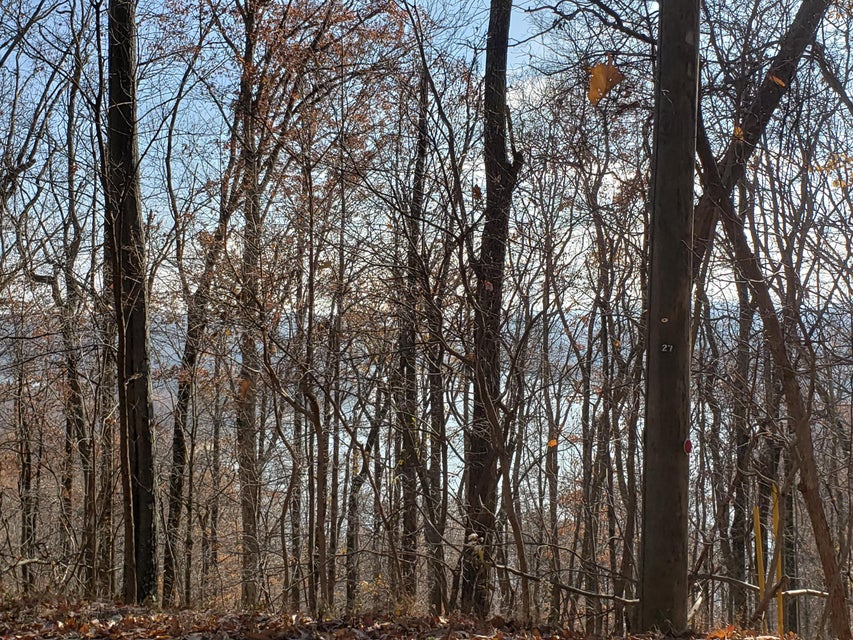 Photo #13: Lot 31 Keetoowah Drive