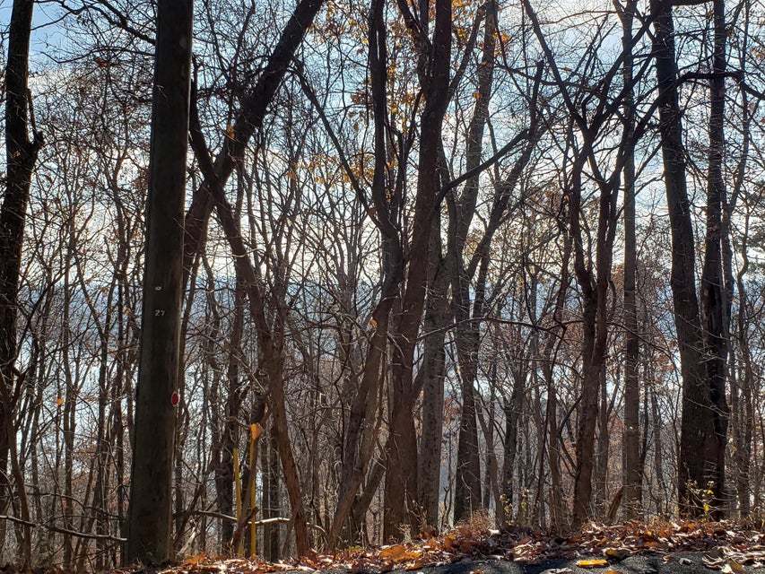 Photo #14: Lot 31 Keetoowah Drive