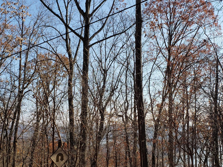 Photo #15: Lot 31 Keetoowah Drive