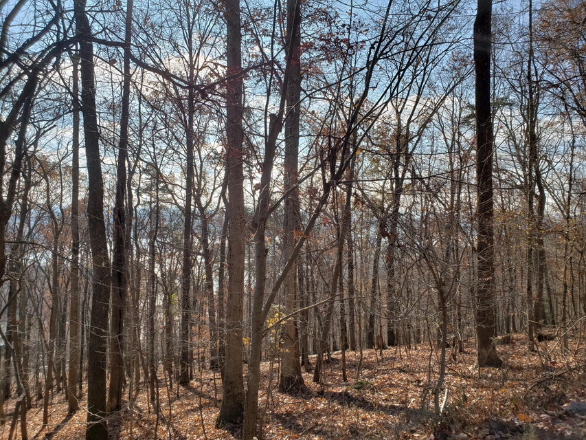 Photo #17: Lot 31 Keetoowah Drive
