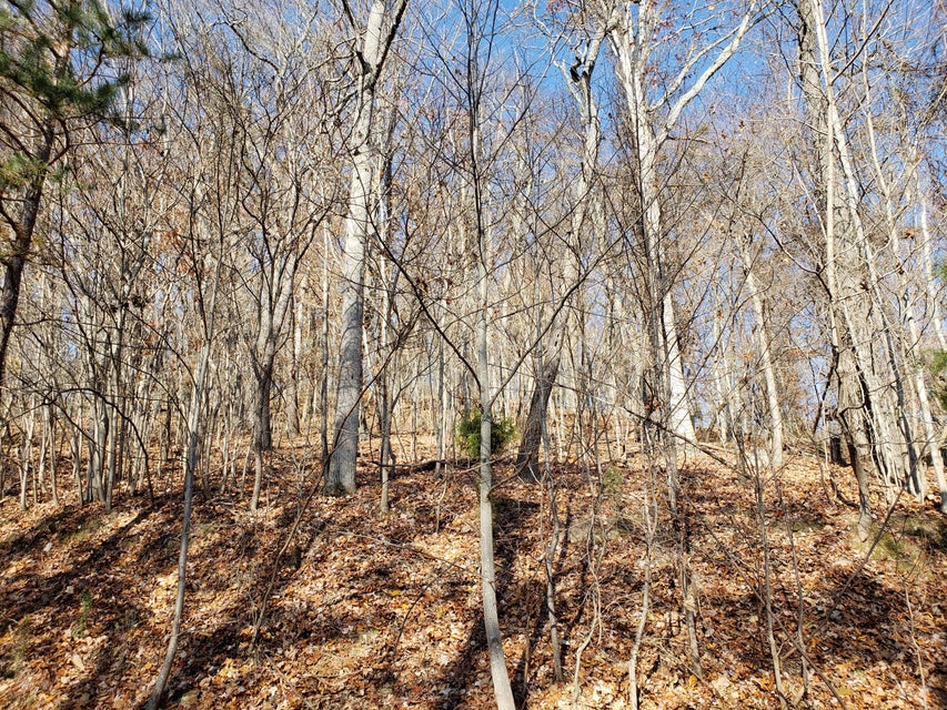 Photo #18: Lot 31 Keetoowah Drive