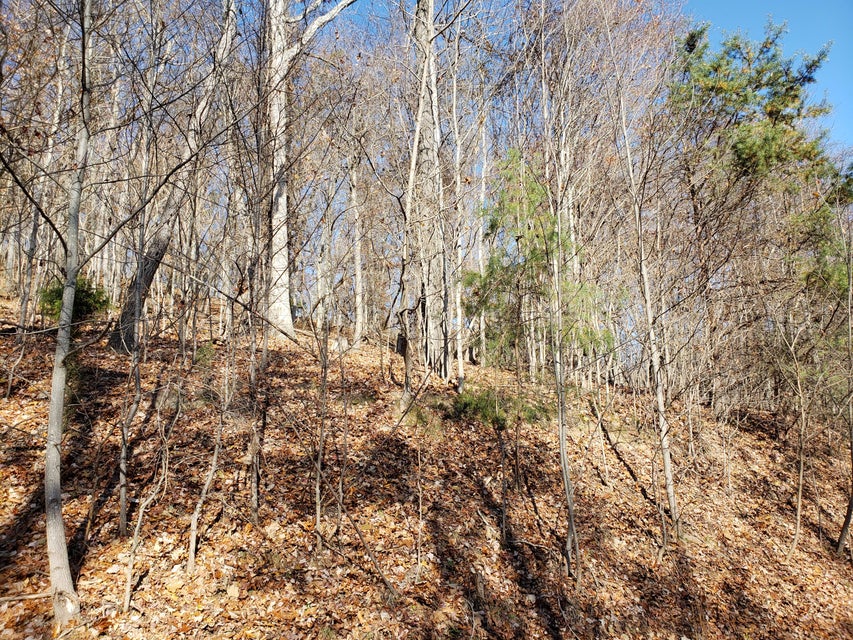 Photo #19: Lot 31 Keetoowah Drive