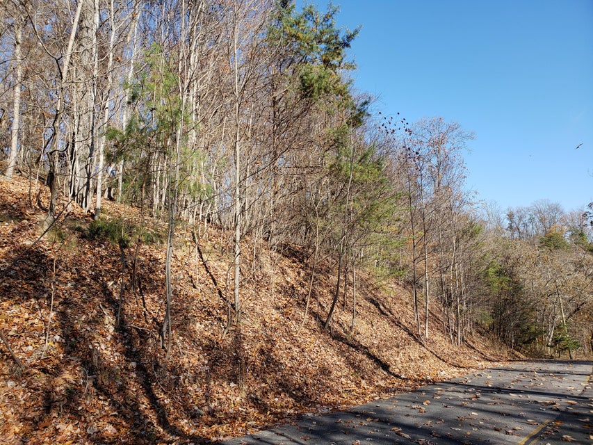 Photo #20: Lot 31 Keetoowah Drive