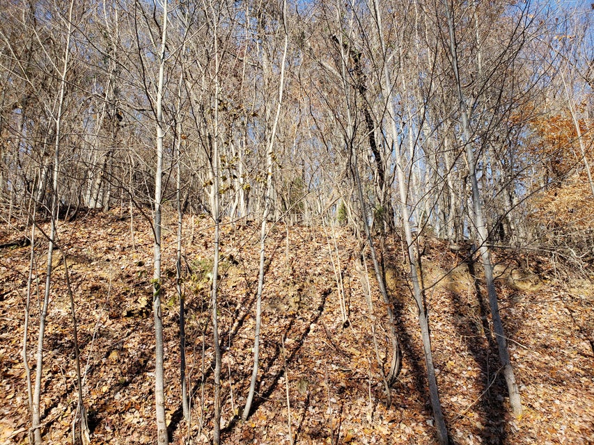 Photo #21: Lot 31 Keetoowah Drive