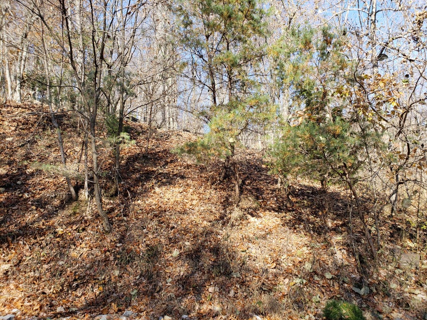 Photo #22: Lot 31 Keetoowah Drive