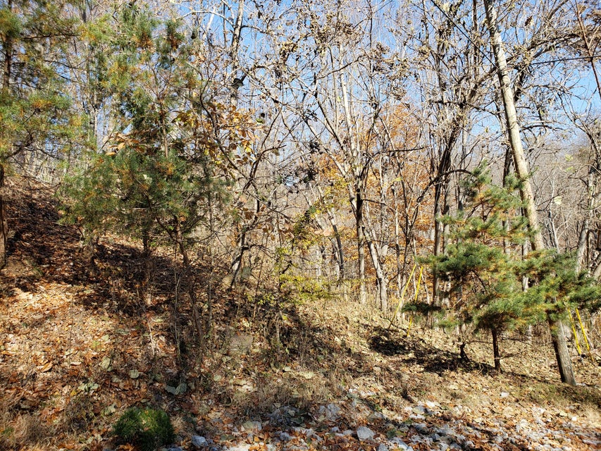 Photo #23: Lot 31 Keetoowah Drive