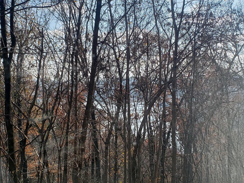 Photo #24: Lot 31 Keetoowah Drive