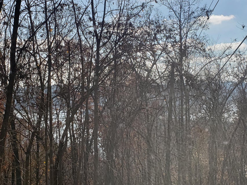 Photo #25: Lot 31 Keetoowah Drive