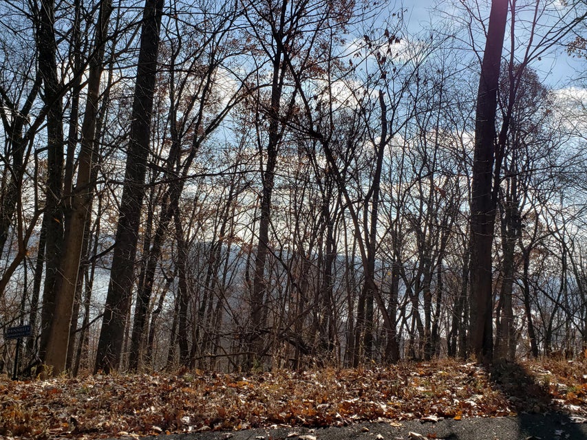Photo #26: Lot 31 Keetoowah Drive