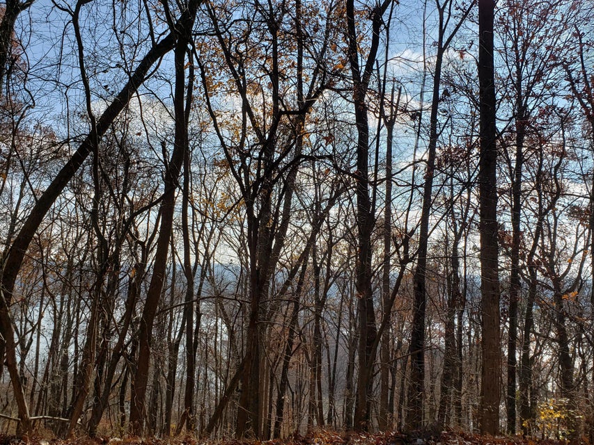 Photo #27: Lot 31 Keetoowah Drive