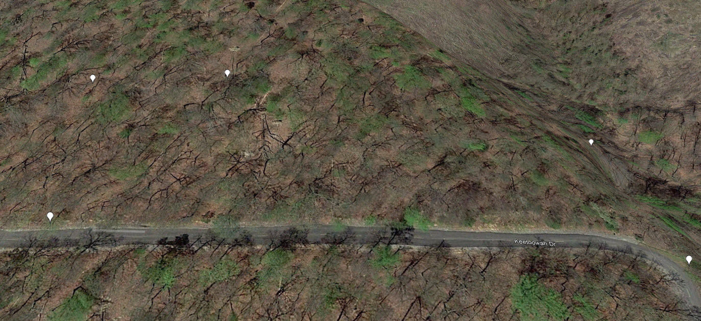 Photo #30: Lot 31 Keetoowah Drive