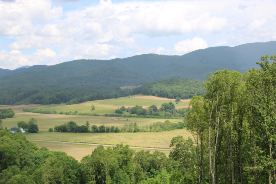 Photo #3: 000 Blackberry Hill Lane