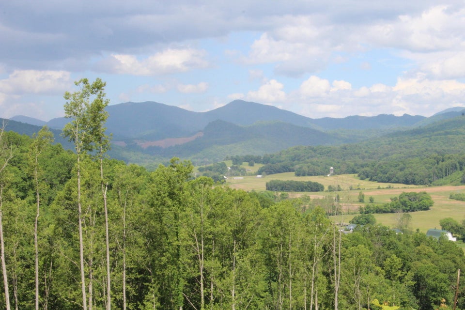 Photo #4: 000 Blackberry Hill Lane
