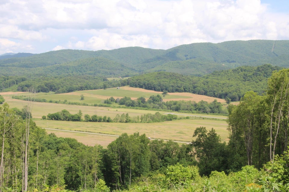 Photo #5: 000 Blackberry Hill Lane