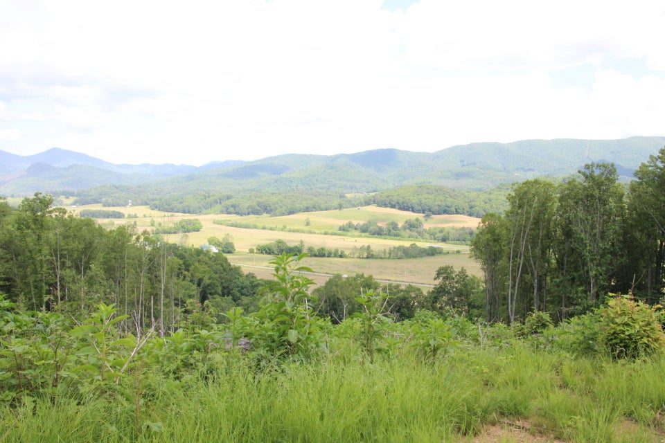 Photo #7: 000 Blackberry Hill Lane