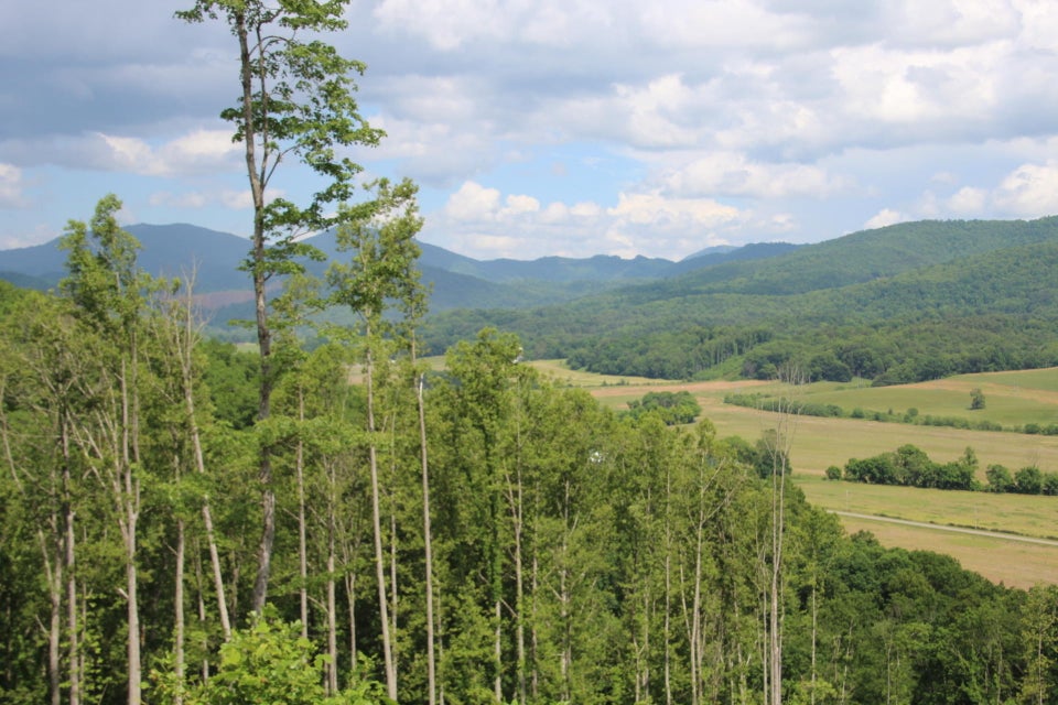 Photo #10: 000 Blackberry Hill Lane