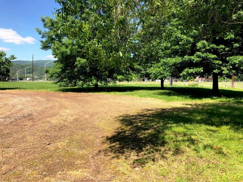 Photo #3: 00 Elk Avenue