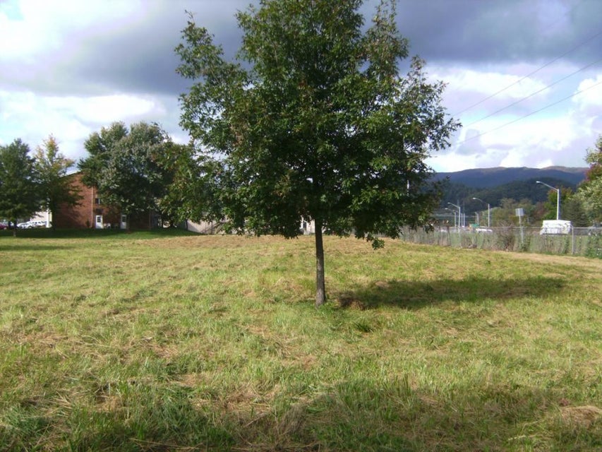 Photo #7: 00 Elk Avenue