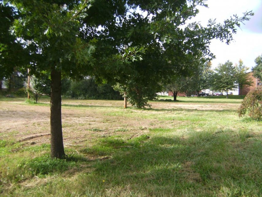 Photo #8: 00 Elk Avenue