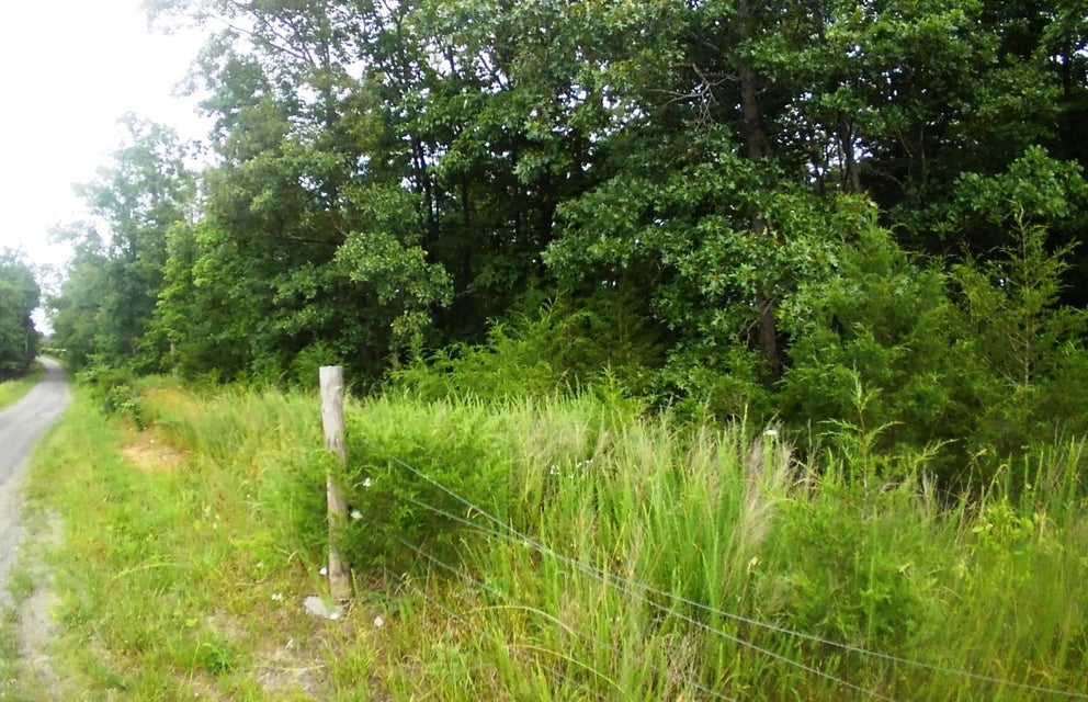 Photo #2: Lot 8 Smelcer Road