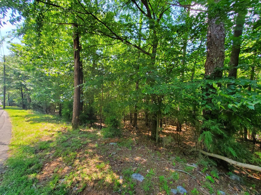 Photo #12: 2005 Tahlequah Lane