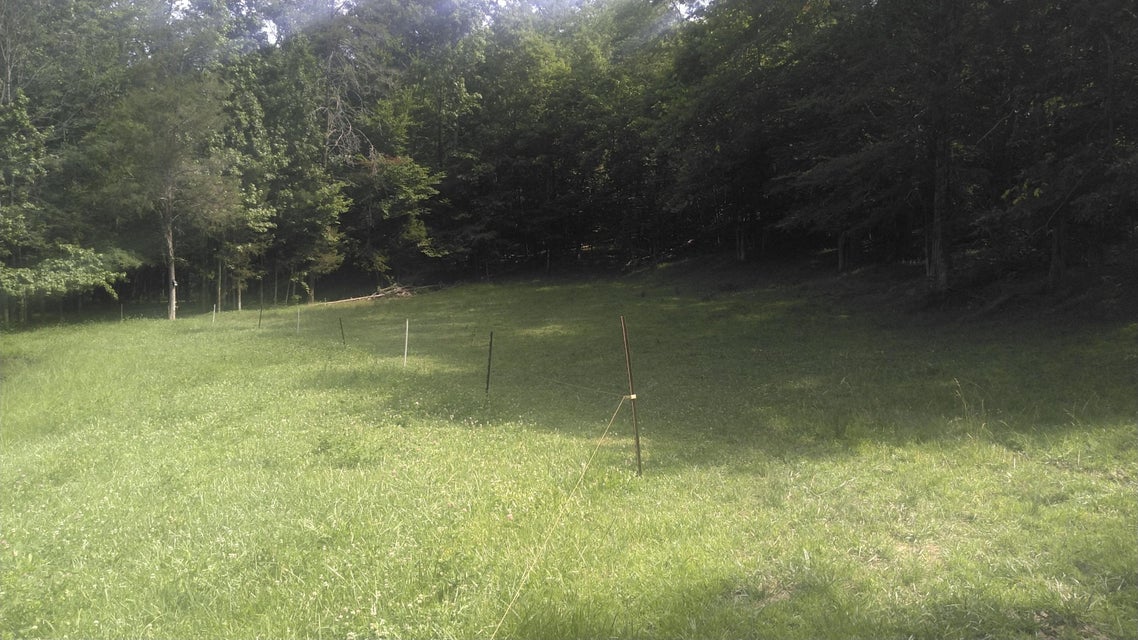Photo #12: 12425 Horton Highway