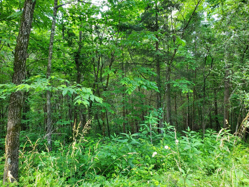Photo #2: 13466 Caney Valley Road