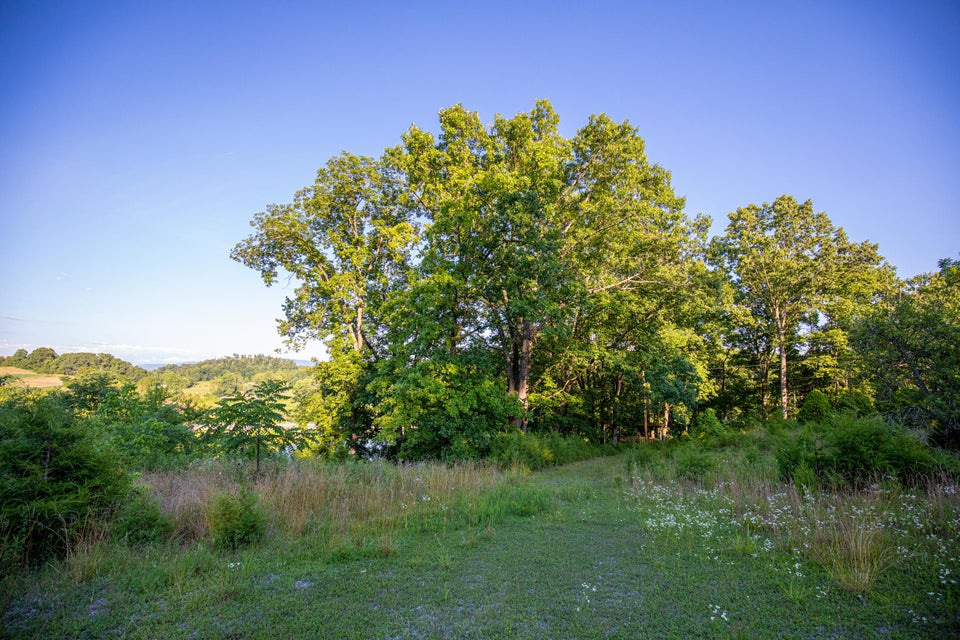 Photo #4: 259 Crussell Drive