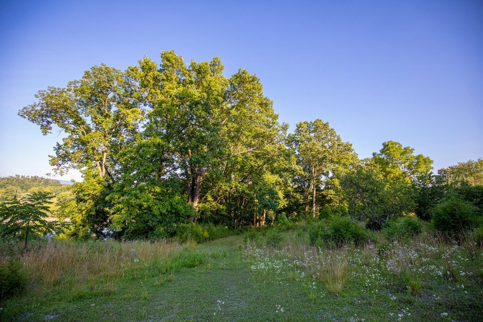 Photo #5: 259 Crussell Drive