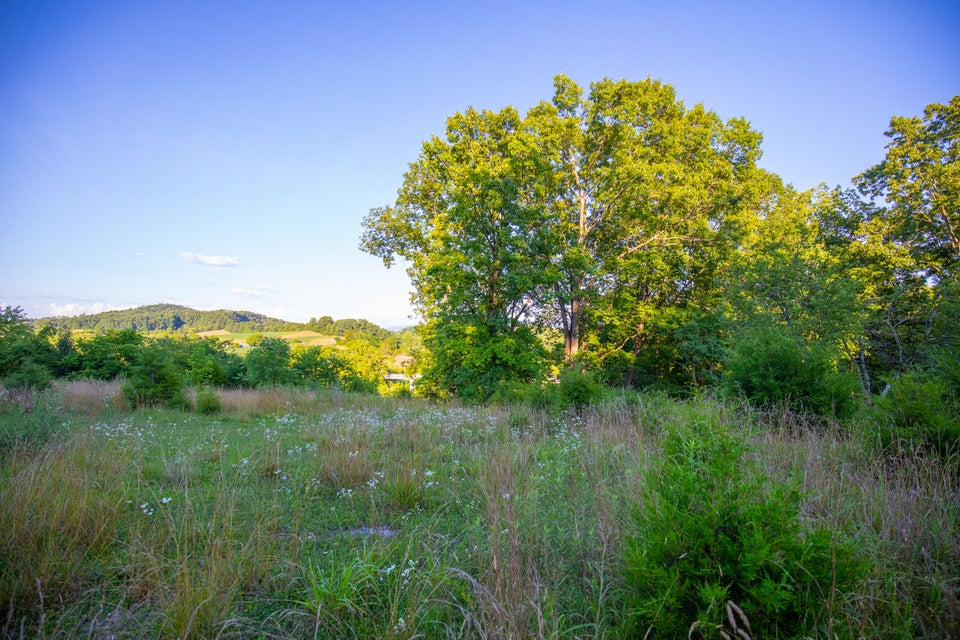 Photo #7: 259 Crussell Drive