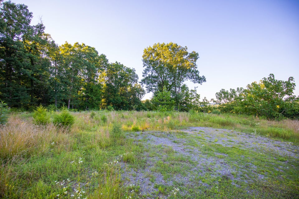 Photo #8: 259 Crussell Drive